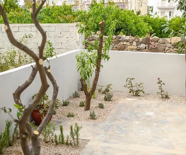 Aetherius Executive 5 Min To İstanköy